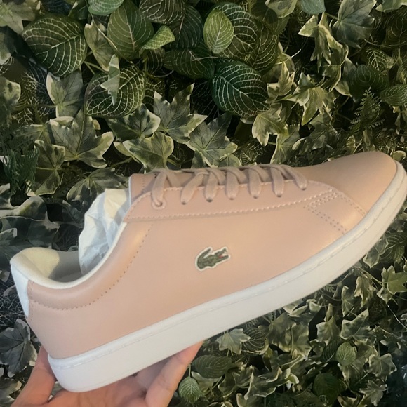 Brand New Lacoste shoe - Picture 2 of 5